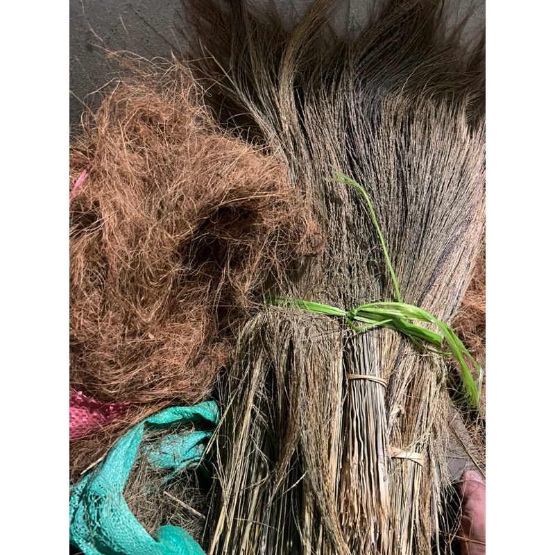 bông đót và sơ dừa sản phẩm chim thích tha về làm tổ trong  mùa  sinh sản