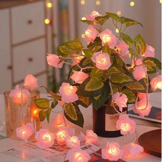 Dây đèn LED hoa hồng 3M và 20 đèn trang trí tiệc và decor nhà cửa