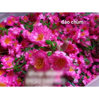 MAI ĐÀO NGÀY TẾT(100 GRAM)