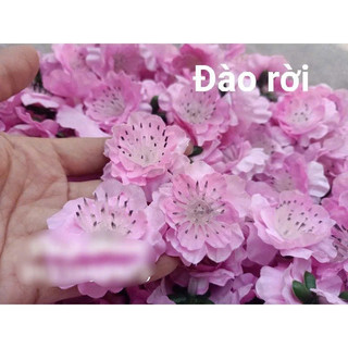 MAI ĐÀO NGÀY TẾT(100 GRAM)