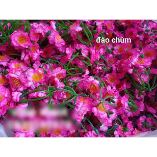 MAI ĐÀO NGÀY TẾT(100 GRAM)