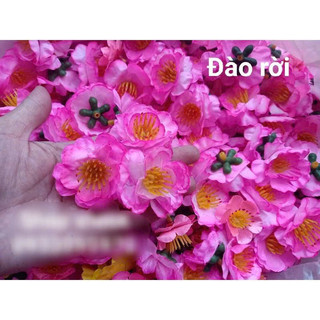 MAI ĐÀO NGÀY TẾT(100 GRAM)