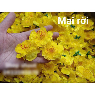 MAI ĐÀO NGÀY TẾT(100 GRAM)
