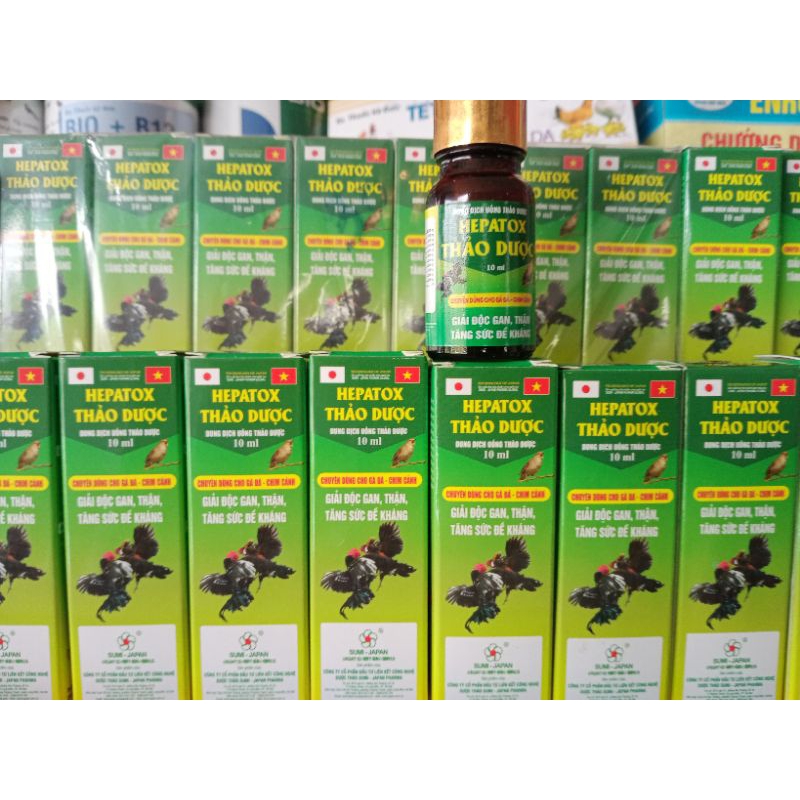 Hepatox thảo dược (giải độc gan gà đá, chim cảnh)