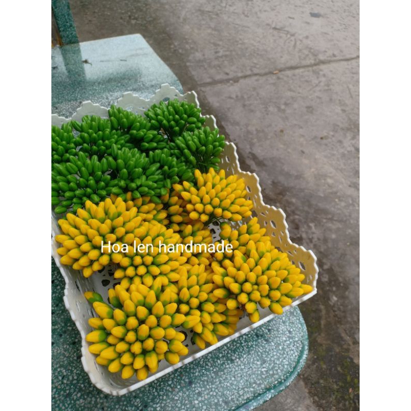 Nụ mai đất sét