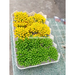 Nụ mai đất sét