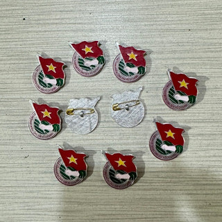 Combo 100 huy hiệu đoàn khách chọn - SP000256