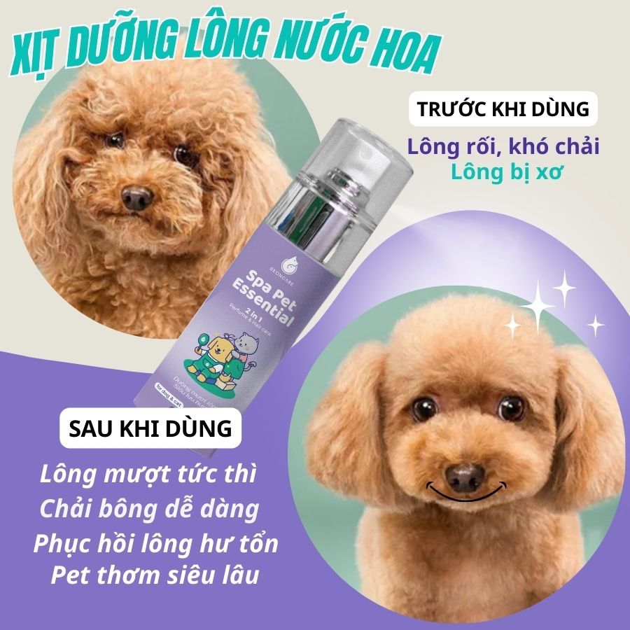 Serum dưỡng mượt lông gỡ rối lông chó mèo Beoncare, Hương nước hoa cao cấp, chuyên dụng cho các spa thú cưng