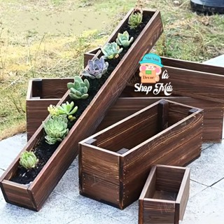 Chậu gỗ trồng cây ban công nhiều kích thước màu nâu óc chó, chậu gỗ trồng sen đá cây cảnh mini trang trí decor