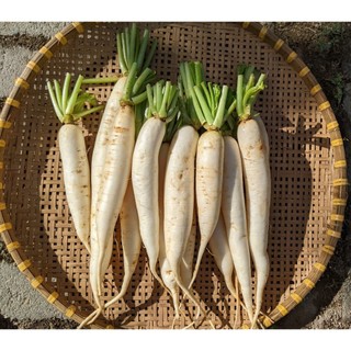 Củ cải khô ÔNG THẮNG - 100G