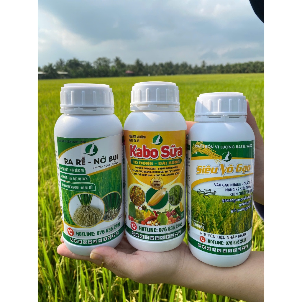 COMBO 3 SẢN PHẨM CHUYÊN LÚA (Ra rễ nở bụi 500ml, Siêu vô gạo 500ml, kabo sữa 500ml)