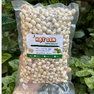  Hạt sen khô Huế loại ngon thơm bở - giúp ngủ ngon nấu chè nấu sữa ăn dặm cho bé 