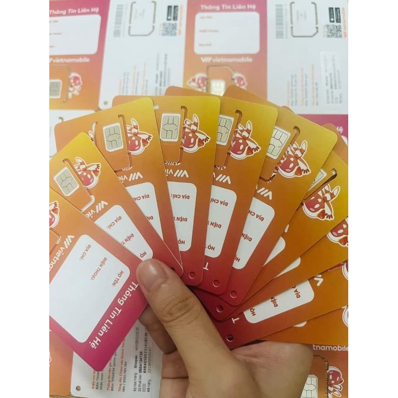 sim vietnamobile