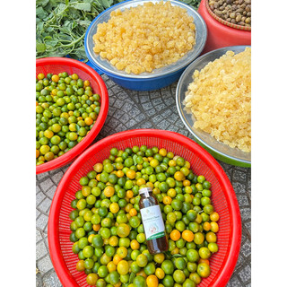 Siro Húng Chanh hanmade Hoa Nắng 330ml