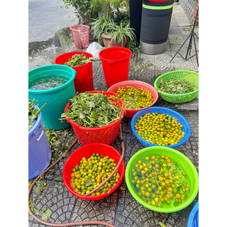 Siro Húng Chanh hanmade Hoa Nắng 330ml
