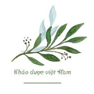 Nước Súc miệng - Hết hôi miệng, Đau răng, Sâu Răng, Viêm lợi