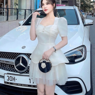 Váy tapta viền đá ngực lưới