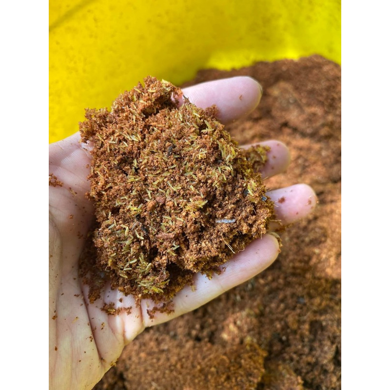 cám (trứng dế mèn thái vàng 500g/ túi)
