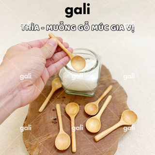 Thìa gỗ, muỗng gỗ múc Gia vị - Muỗng nhỏ decor chụp ảnh - Thìa gỗ xinh múc Trà | Galihomecook