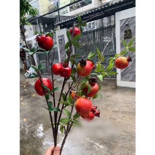 trang trí tết - Cành lựu 6-7 quả (cành)