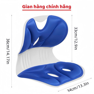 Ghế Công Thái Học PLSHARK Chống Gù Lưng Điều Chỉnh Dáng Ngồi Chống Cong Vẹo Cột Sống Giảm Đau Mỏi Lưng