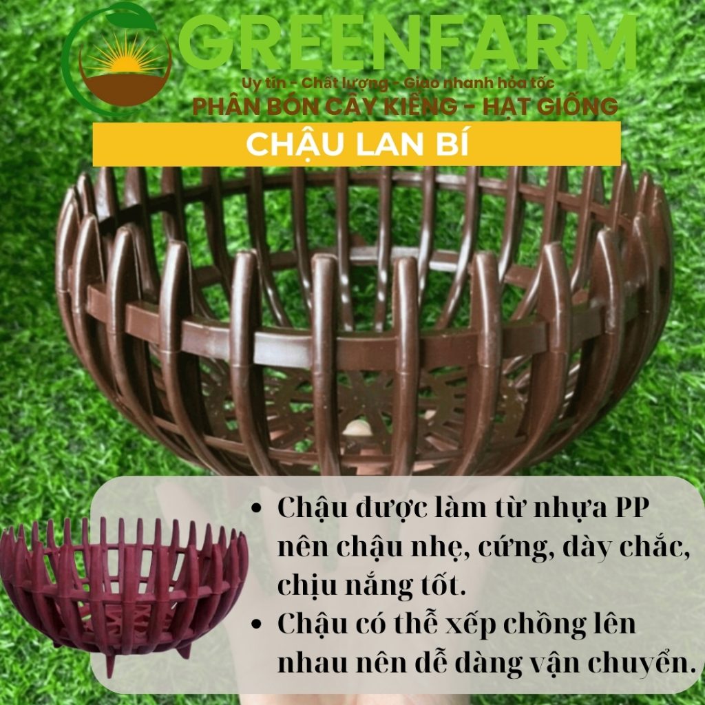 Chậu nhựa trồng lan, Chậu lan bí giả gỗ F20-23-26cm - GreenFarm