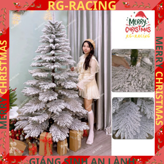 Cây Thông Đầu Nhọn Phủ Tuyết T5-HS Size 1m5 2m 2m4 - Cây Thông Noel Trang Trí Giáng Sinh