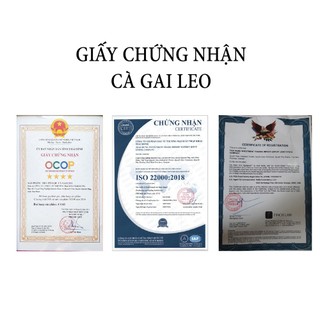 Trà Cà Gai Leo Túi Lọc - Trà Thải Độc Gan Cà Gai Leo Rau Má Tâm Đạo - mát gan, thanh lọc cơ thể Hộp 30 túi
