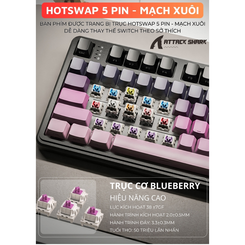 Bàn Phím Cơ Không Dây Attack Shark X98 Pro Max Màn Hình LCD - Núm Xoay -  App Tùy Chỉnh Nâng Cao | BigBuy360 - bigbuy360.vn