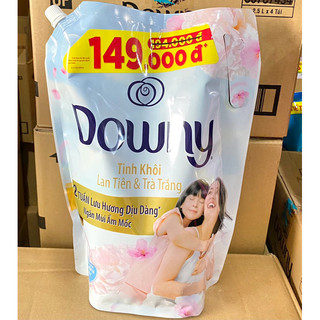 Nước Xả Vải Downy 2,2L / 3L