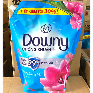Nước Xả Vải Downy 2,2L / 3L