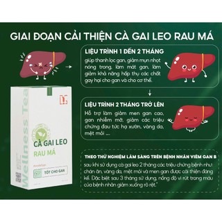 COMBO 3 Hộp Trà Cà Gai Leo Túi Lọc - Trà Thải Độc Gan Cà Gai Leo Rau Má Tâm Đạo - mát gan, thanh lọc cơ thể Hộp 30 túi