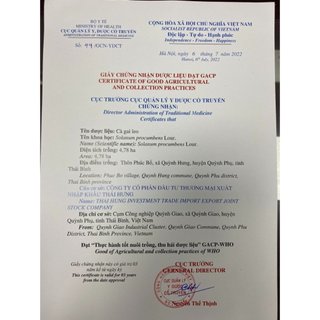 COMBO 3 Hộp Trà Cà Gai Leo Túi Lọc - Trà Thải Độc Gan Cà Gai Leo Rau Má Tâm Đạo - mát gan, thanh lọc cơ thể Hộp 30 túi