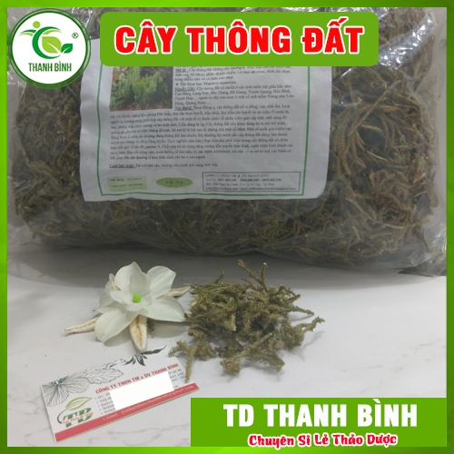 Cây Thông Đất (Râu Rồng) 500g - Hàng Công Ty