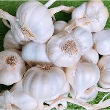 Combo hành tỏi Lý Sơn hiệu KING