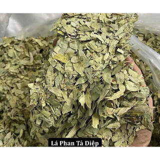 LÁ PHAN TẢ DIỆP khô loại 1 (mới, sạch, đẹp) [500g]