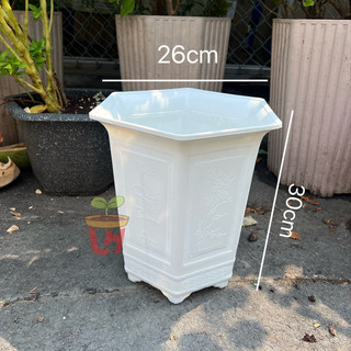Chậu nhựa trồng cây (Lục giác cao), chậu lục giác Tài lộc