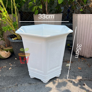 Chậu nhựa trồng cây (Lục giác cao), chậu lục giác Tài lộc