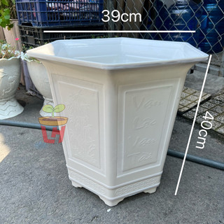 Chậu nhựa trồng cây (Lục giác cao), chậu lục giác Tài lộc