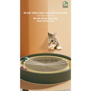 Các mẫu cào móng giấy cho mèo - đồ chơi cho mèo