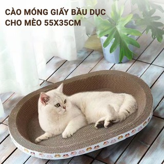 Các mẫu cào móng giấy cho mèo - đồ chơi cho mèo