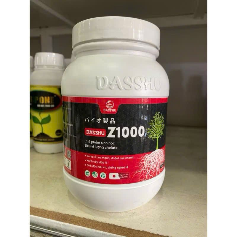 DASSHU Z1000 -  Bung rễ cực mạnh, đi đọt cực nhanh. Xanh cây, dày lá