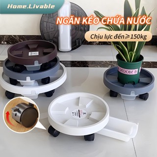 Kệ chậu cây có bánh xe,Chậu hoa có khả năng thu gom nước,bánh xe có phanh,tiện lợi chịu lực 100kg,Bánh xe có thể khóa đư