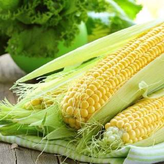 100GR 780.HẠT Hạt Giống Bắp Mỹ Bantam (| A7*W54)