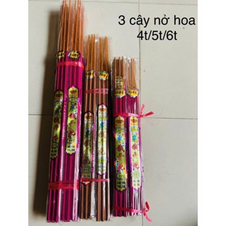 Nhang Nở Hoa (Bó 3 cây Lớn) Khai Hoa Phú Quý Tài Lộc Thanh Phong Orgaic