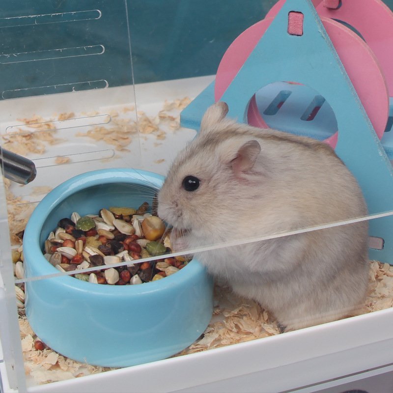 Bát ăn nhựa cho hamster