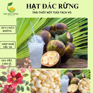 Thốt nốt tươi An Giang đã gọt vỏ loại 1 dẻo ngon 1kg (SHIP HỎA TỐC TPHCM)