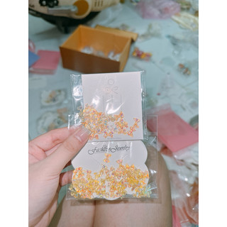 charm nơ hologram