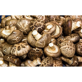 đông cô khô 500g -1kg