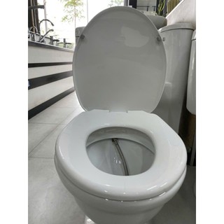 Nắp bồn cầu Viglacera 1102